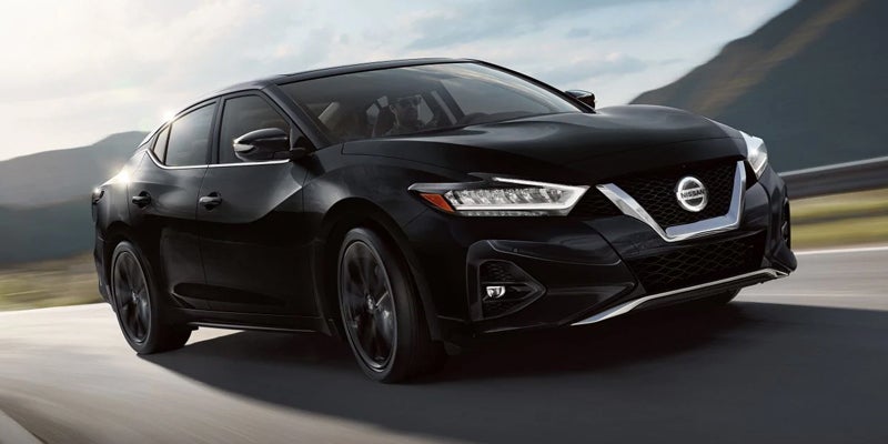 nissan maxima